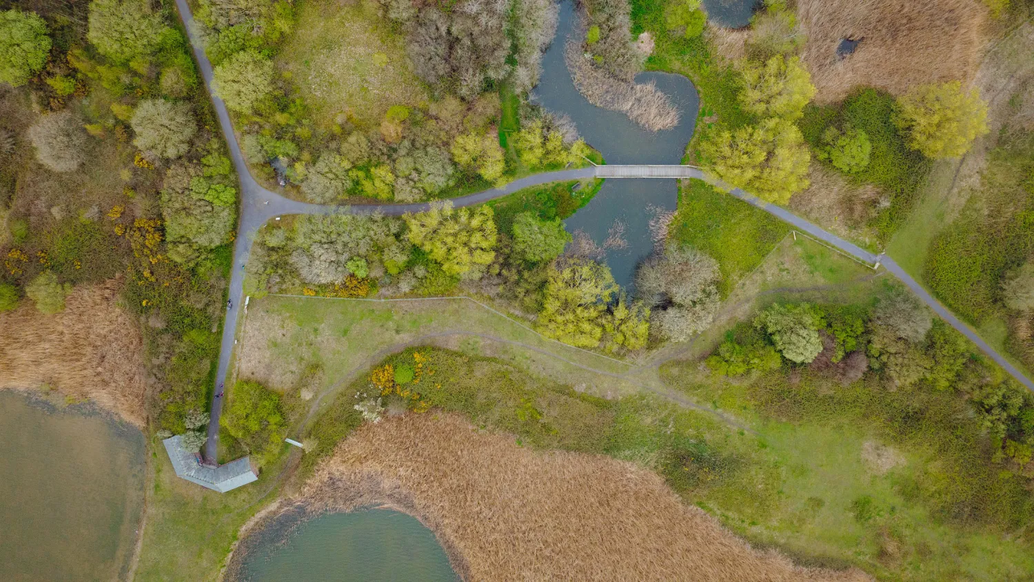 Wetlands and lakes at RSPB Conwy